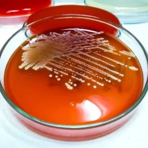 Ilustrační obrázek