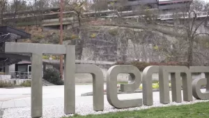 Ilustrační obrázek